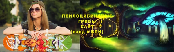 хмурый Протвино