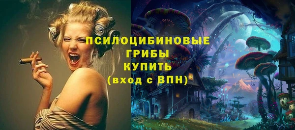 дмт Железноводск