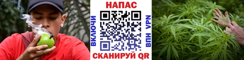 Конопля семена  Купить закладки  Заполярный 